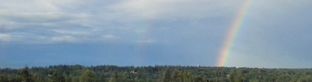 A rainbow on a horizon of trees. Another rainbow, barely visible can be seen to its left.