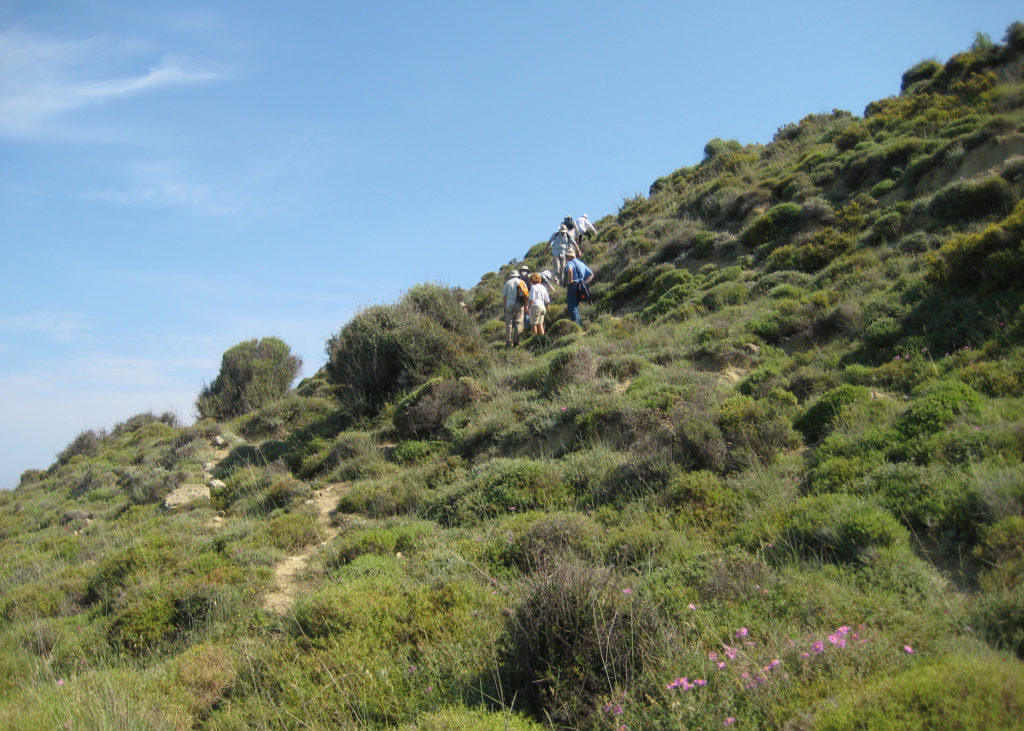 Climbers near W Beach, Gallipoli ascend the steep twisting path to visit a water feature (not in view. The photograph taken from the base of the scramble.