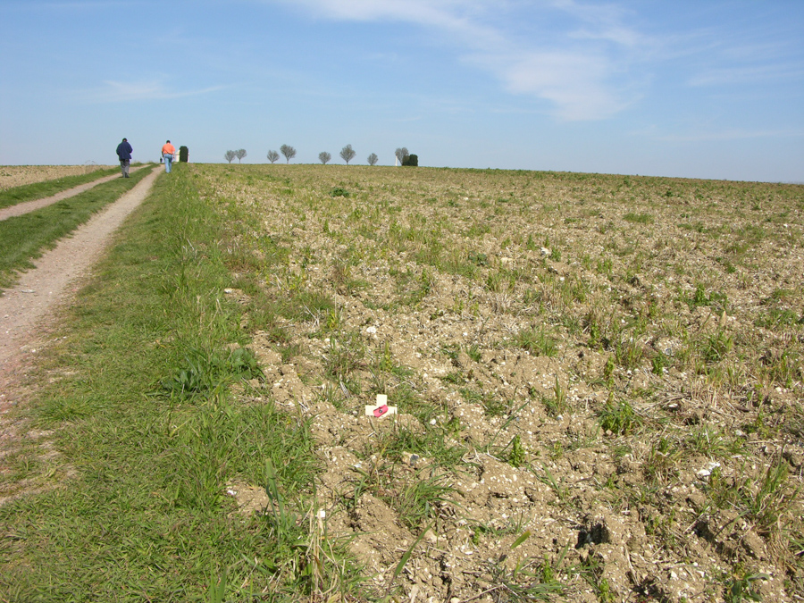 Two men walk down pathway near field in France.