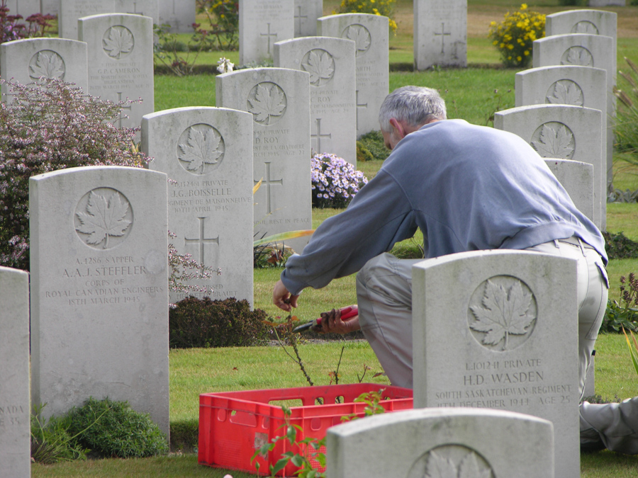 Gardener attends to rosebush amongst granite headstones at Groesbeek Cemetery.