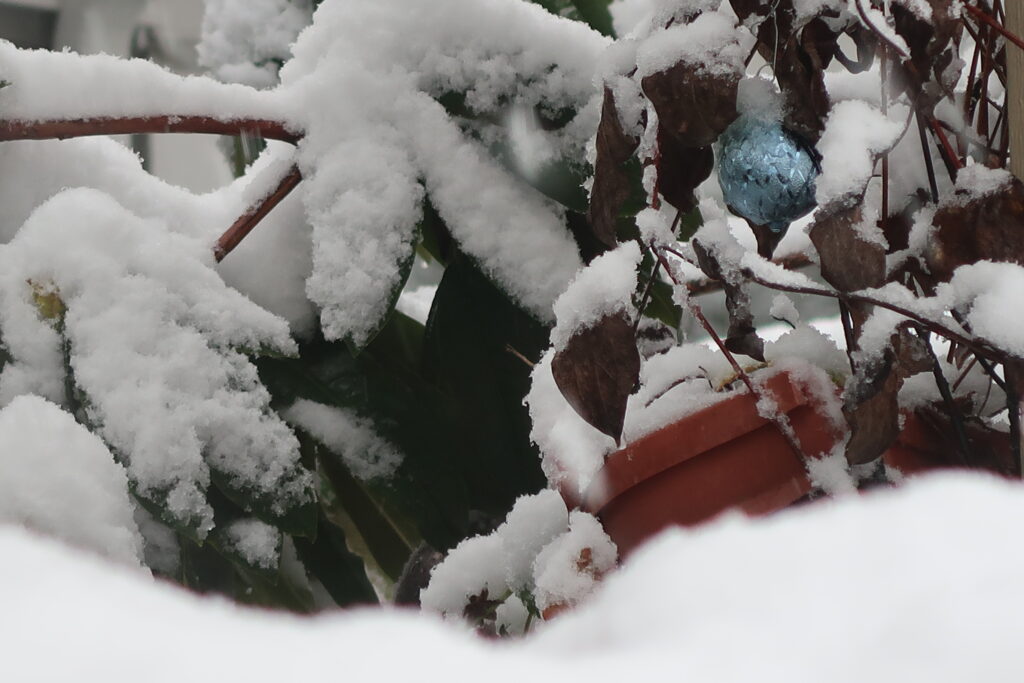 A flower pot and blue Christmas ornament within snow laden branches.