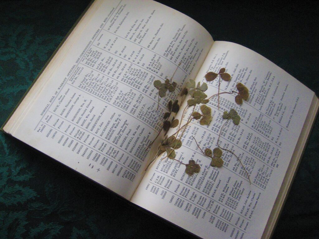 A history of the Fourth Canadian Infantry Battalion lies opens to names of soldiers. Between the pages four leaf clovers lie. Who put them there. What was their meaning?