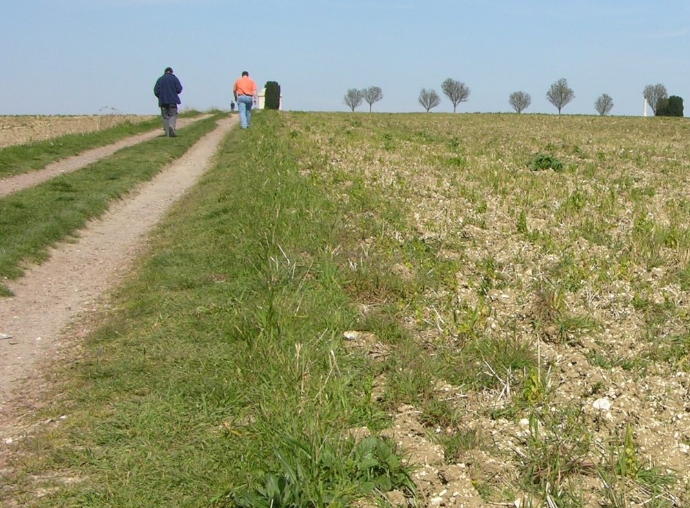 Two pilgrims to the Somme walk along the road.