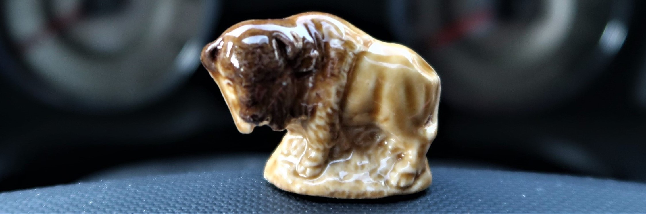 Buffalo on steering wheel with dashboard behind.
