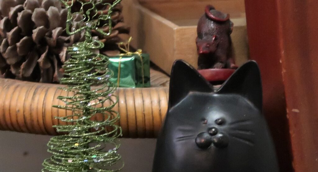Ascalon the kitten.