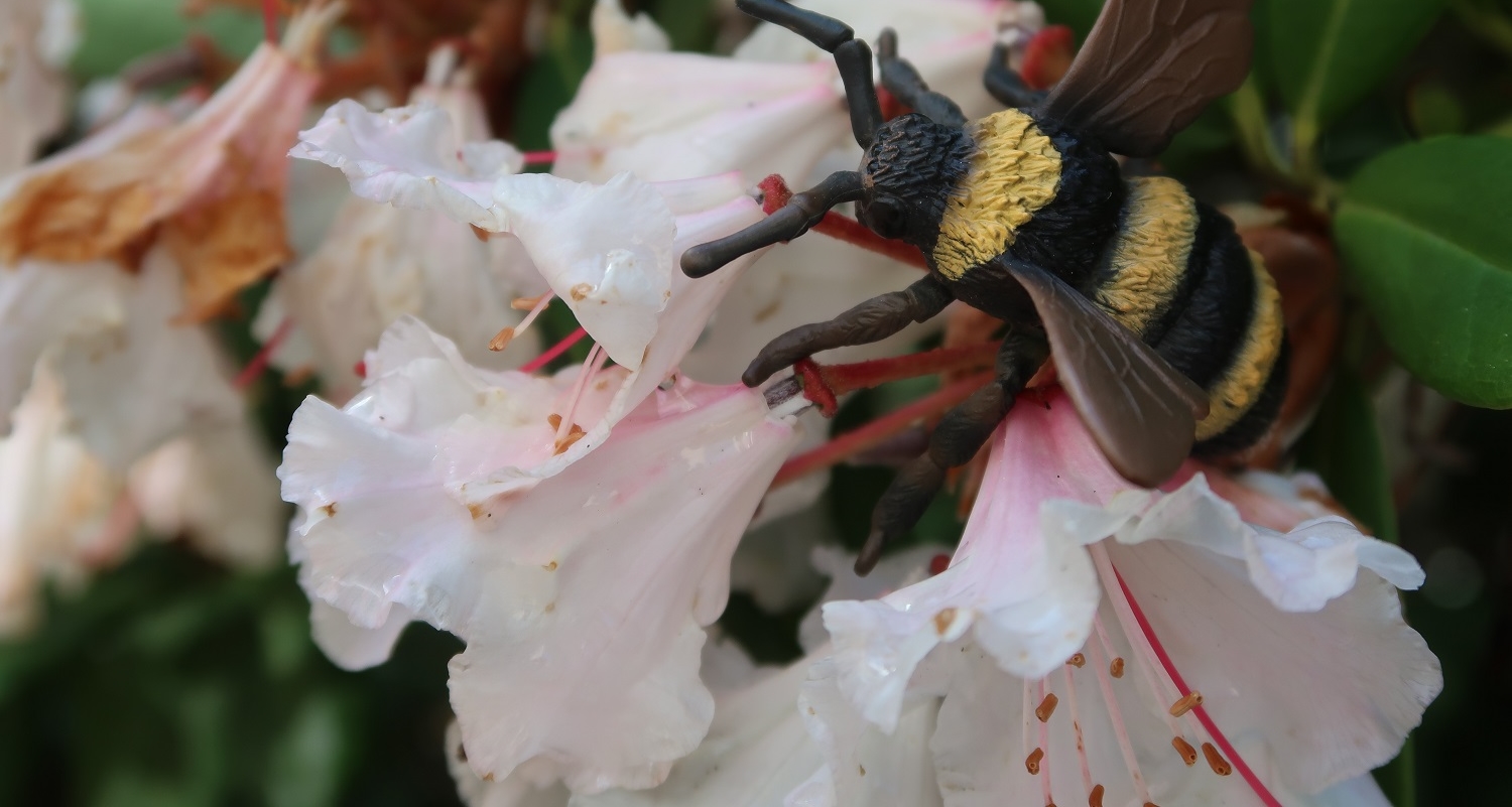 A modelled, oversize bumblebee sits atop the flowers.