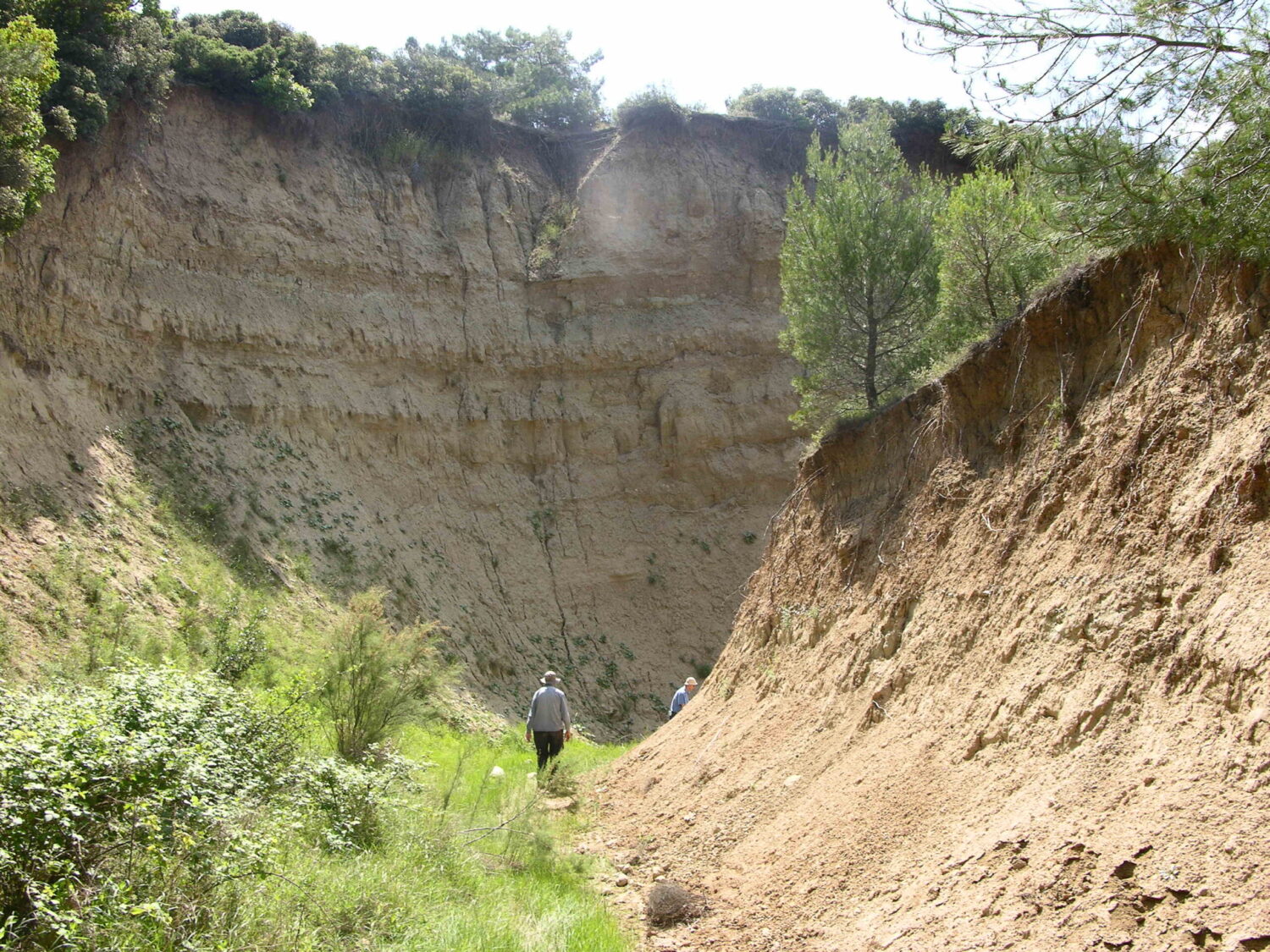 Gully Ravine Gallipoli.