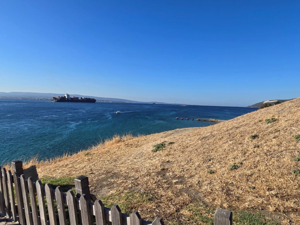 Freighter in the Dardanelles.