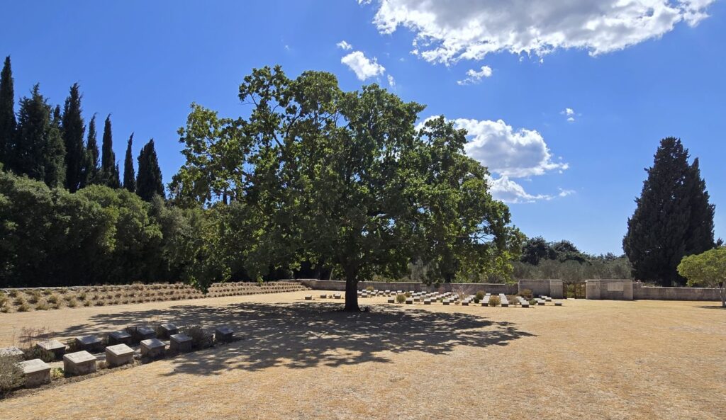 Eric Duckworth memorial treee.