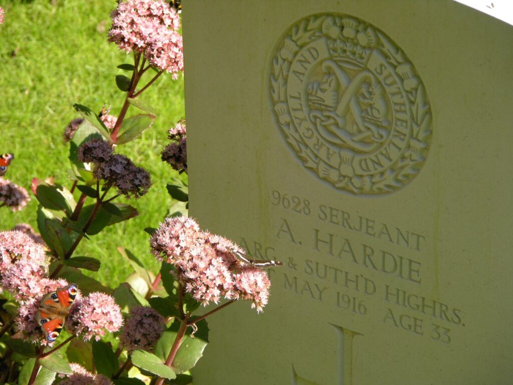 Hardie with butterflies.