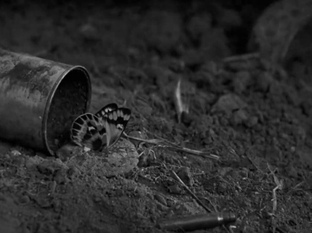 Butterfly and tin