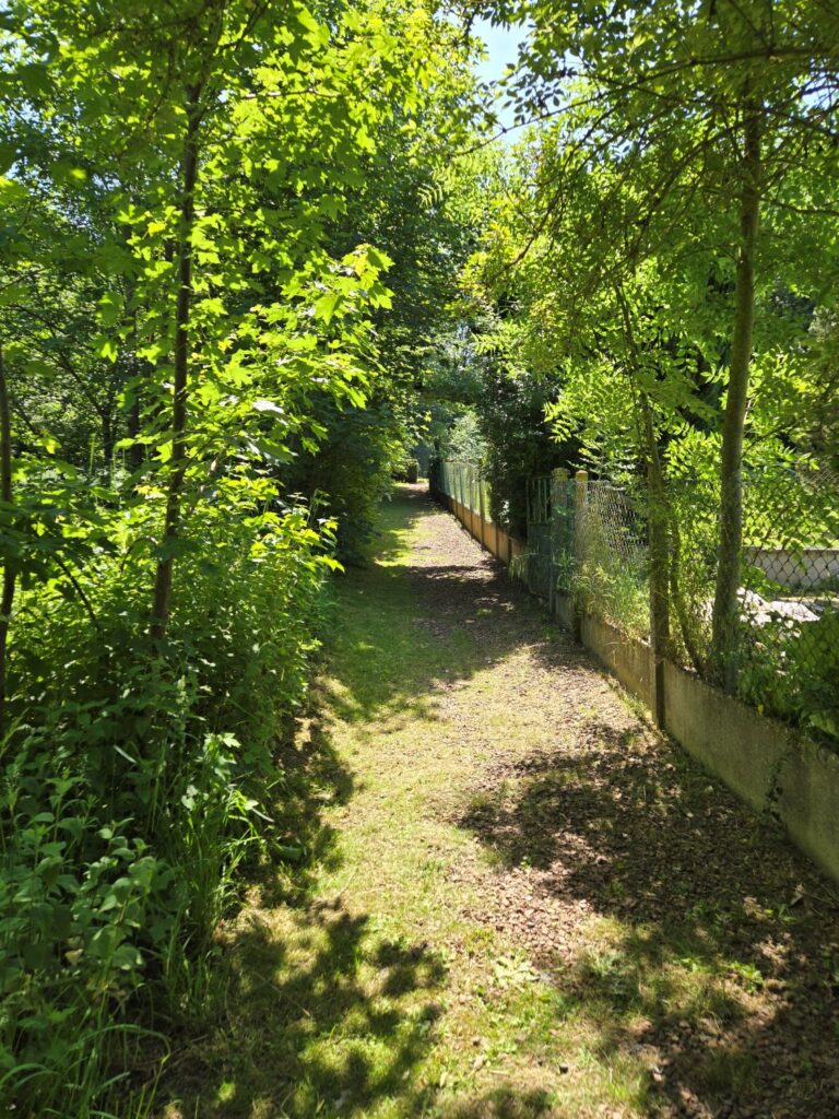 Second path Agny