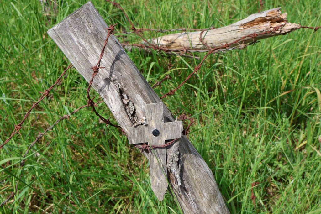 Remembrance poppy on a barbed wire post.